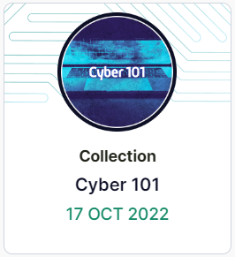 Cyber 101 Badge