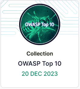 OWASP Top 10 Badge