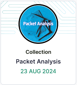 Packet Analysis Badge