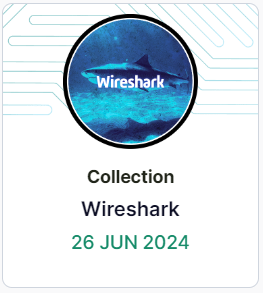 Wireshark Badge